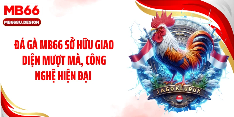 Đá gà MB66 sở hữu giao diện mượt mà, công nghệ hiện đại